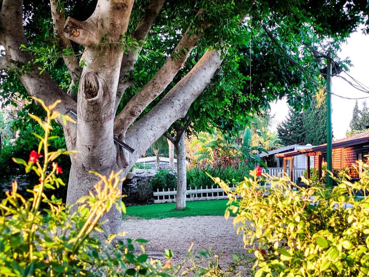 Etzel Tami Hospitality Hotel Neot Golan Exterior foto